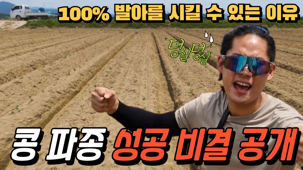 논콩 파종,  습관리만 잘하면 100% 발아! | 성공 비결 대공개 l #청년농부 #긍정농부 #콩농사