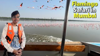 Visiting Flamingo Safari in Mumbai 😍 | Timings, Ticket Bookings & all Details | Must do in Mumbai