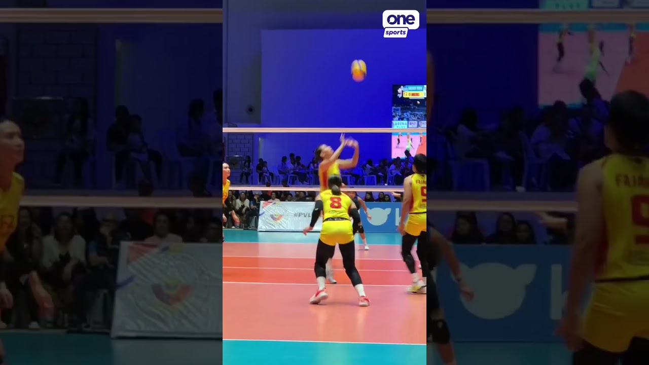 Majoy Baron as a jumping setter? We love to see it 🤩