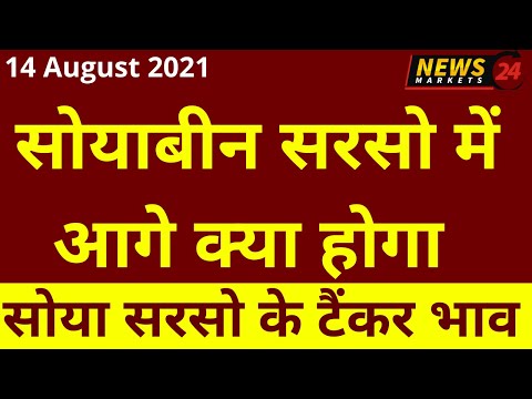 सोयाबीन सरसो में आगे क्या होगा ,14 August 2021, सोयाबीन सरसो भाव ,सोया सरसो के टैंकर भाव,#soyabean