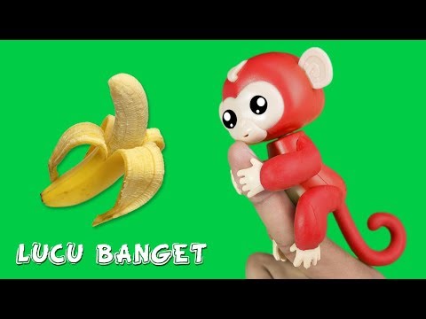 MONYET MONYETAN UNIK BANGET