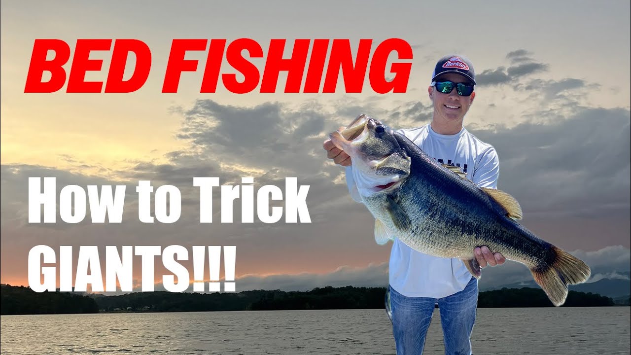 HOW TO CATCH GIANT SPAWNING BASS!! (I am spilling ALL The Beans!)