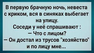 видео: Как Жених Хозяйством Наказал Невесту! Сборник Свежих Анекдотов! Юмор! картинка: Как Жених Хозяйством Наказал Невесту! Сборник Свежих Анекдотов! Юмор!