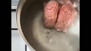 طريقة طبخ مخ الخروف