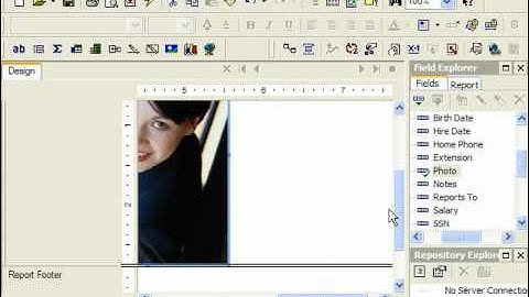 Crystal Reports Tutorial Adding Data Fields to a Report Business Objects Training Lesson 3.1