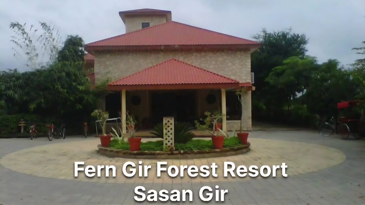 The Fern Gir Forest Resort Sasan Gir Luxury Stay Near Gir National Park 
