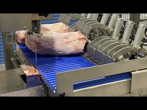 Auto meat band saw HY-420A  Cut beef bone