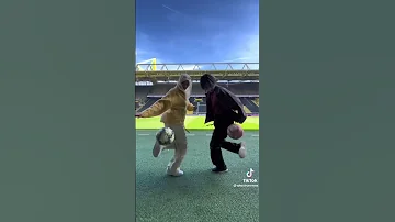 ابغى الياباني 