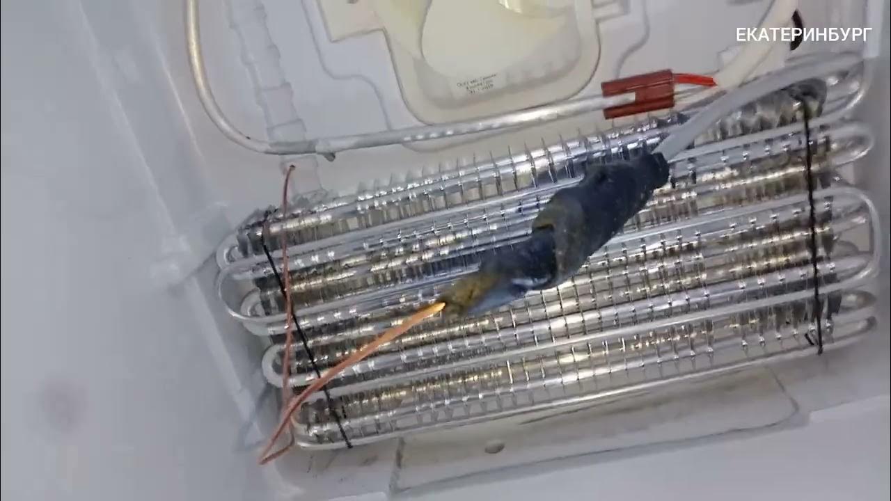 Неисправности холодильника беко. Датчик испарителя холодильной камеры beko. Компрессор на холодильник беко. Whirlpool не охлаждает холодильник. Неисправности холодильника беко.