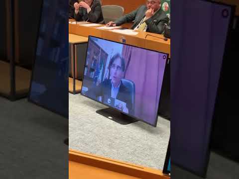 Ponte sullo Stretto, Falcomatà interviene all'incontro dei no a Bruxelles
