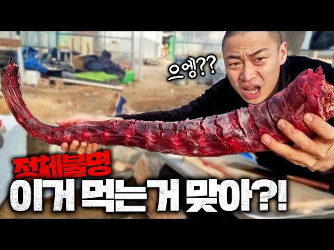 이것 먹어본 <strong>사람</strong> 전세계 1% 예상. <strong>동물원에서</strong> 볼수있는 그것! 먹방