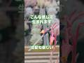 【わくわくの始まりです】