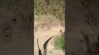 Bajando La Montaña