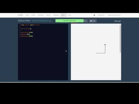 Introduction to Turtles