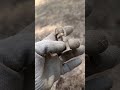 salió el soldado sin cabeza