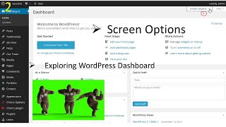 Exploring WordPress Admin Dashboard,  Screen Options Change What's Displayed for Beginners.