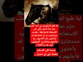 عندما كان الاسلام مقدما علي اي اعتبار عماد الدين زنكي 