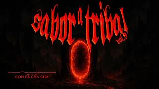 Abbsolut - Con El Cha Cha (Gogos Mix) Visualizer