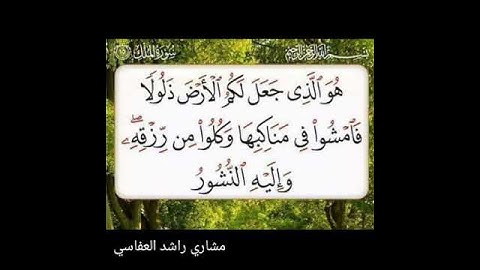 سورة الملك آية ١٥