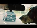 Dog's Best Friend: Being Smokey's Handler Dog's Best Friend: Being Smokey's Handler