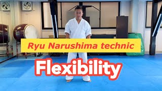 Ryu Narushima Technique "Flexibility" English subtitles version
