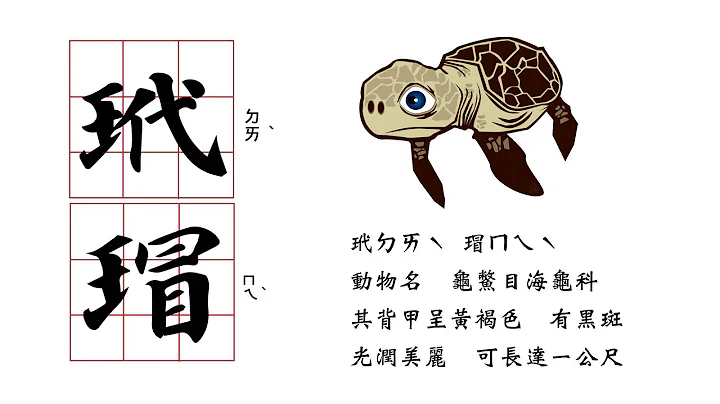 【酷貓知識家】什麼是玳瑁貓 - 天天要聞