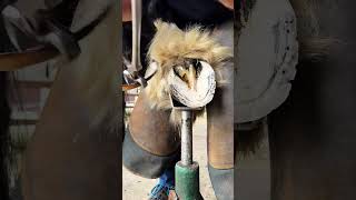 #farrier #horse #farriers #hoof #hoofcare