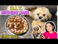 EASY DOG CAKE RECIPE | TIPID TIPS SA PAG GAWA NG CAKE | PAANO GUMAWA NG CAKE NG ASO | DOG BIRTHDAY