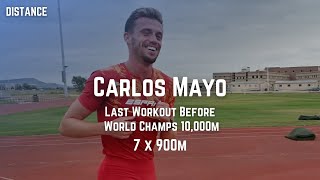 Carlos Mayo - Last Workout Before World Champs 10,000m