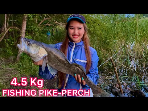 Video: Pike đầu Tiên