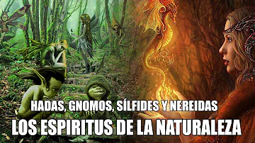 ¿Qué son los espíritus de la naturaleza?