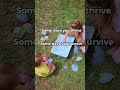 Just a reminder #viral #fyp #momlife #MomsofTikTok #playtime... #Shorts #nurturing.nuggets