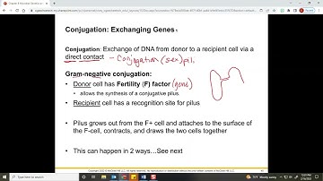 Biol 2117 Chapter 8: Microbial Genetics and Genetic Engineering Part 2