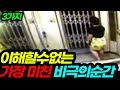 2 세계 곳곳에서 일어난 비극적인 사건사고 모음 2 세계 곳곳에서 일어난 비극적인 사건사고 모음