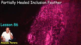 L 86 E Afghanistan Rubies Under the Microscope | Natural Inclusions