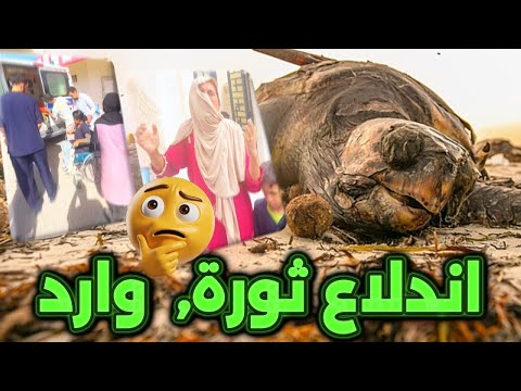 قابس تبكي دم و الدولة لا حياة لمن ينادي