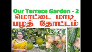 மொட்டை மாடி பழத்தோட்டம் /Our Terrace Garden - 2 / அனிதா குப்புசாமி / Anitha Kuppusamy