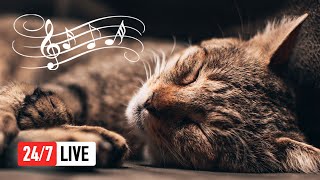 🔴 Relaxing Music for Cats (LIVE 24/7) Peaceful Piano Music with Cat Purring Sounds screenshot 1
