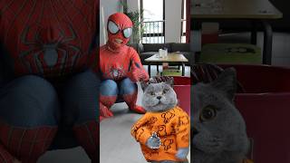 Thumbnail for God!😭 Please Be Kind To These Poor Kittens🥺🙏 #funnycat #funnymemes #trending