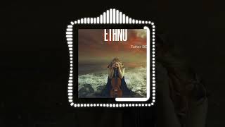 Tamer ElDerini - Ethno  | #Housemusic Resimi