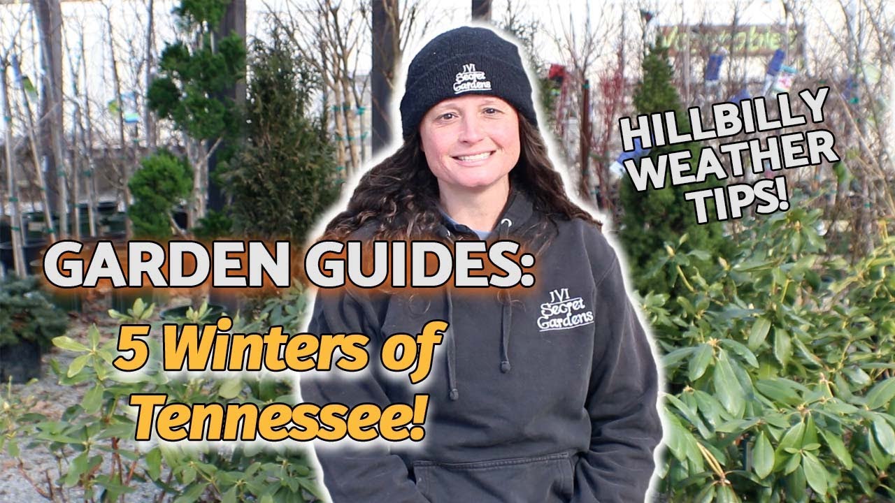What Are The 5 Winters In Tennessee Explained — What It Means And Why It Matters