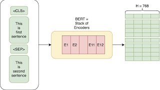 Understanding BERT Embeddings and How to Generate them in SageMaker