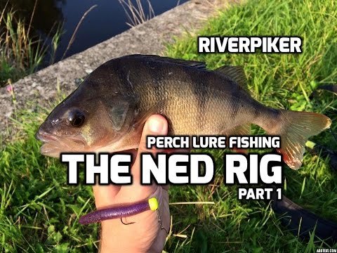 Perch lure fishing - Ned rig part 1(Video 150) 
