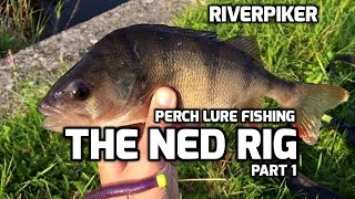 Ned rig perch Outlet