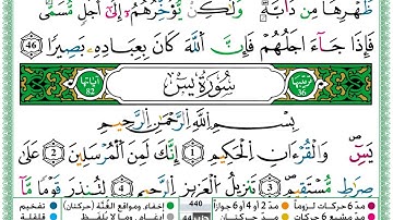 سورة يس  / حمزة الجزائري
