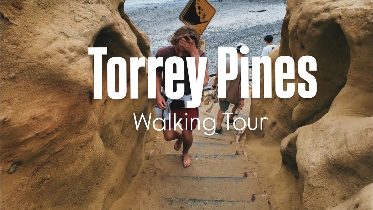 4K Walking Tour of Torrey Pines, San Diego | Nature Sounds + Scenic Views