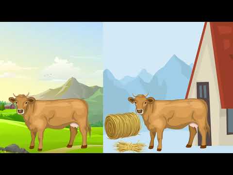 \"ქართული რძის\" ნიშანი