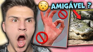 SHOCKING Things About Brazil *GRINGOS DON'T KNOW* |🇬🇧UK Reaction