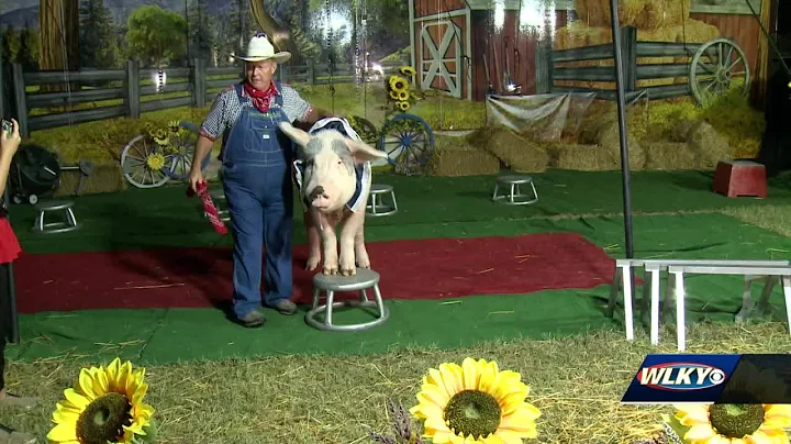 Several free family shows take the stage at Kentucky State Fair