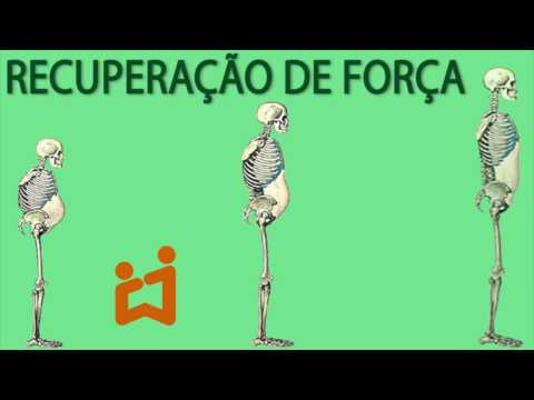 Vídeo: Músculos Flexíveis: Quais São Os Benefícios E Ele Pode Fortalecer A Força?